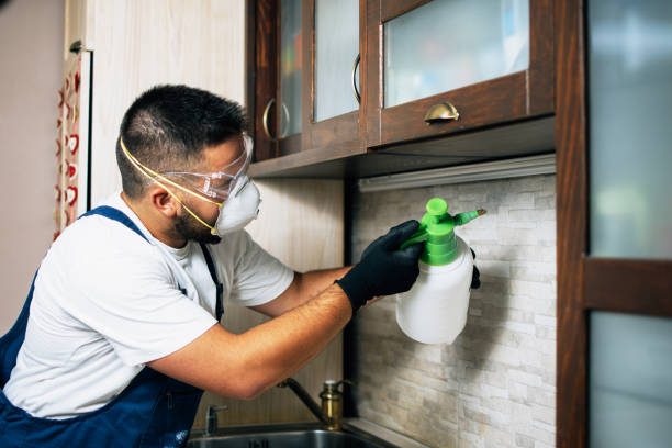 Best Best Pest Control Companies  in Clinton, MO
