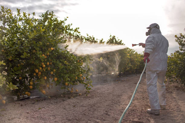 Best Mosquito Control Services  in Clinton, MO