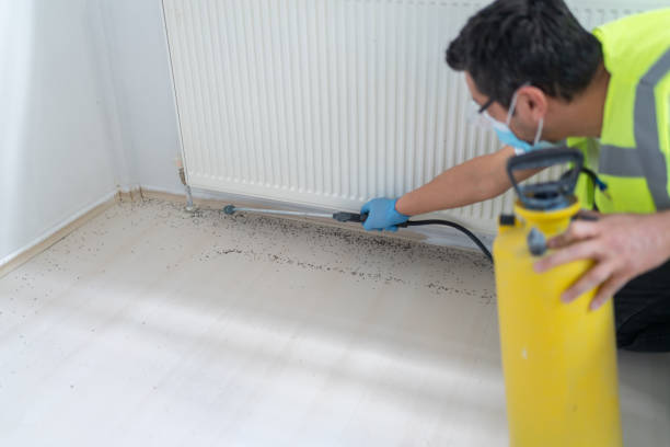 Best Commercial Pest Control Services  in Clinton, MO