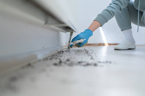 Best Cockroach Control Services  in Clinton, MO